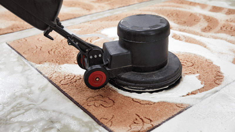 How to Clean Carpet for a Fresh and Revitalized Home
