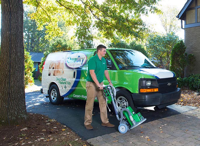 Pet Stain Experts: Top 10 Dallas Carpet Cleaning Services