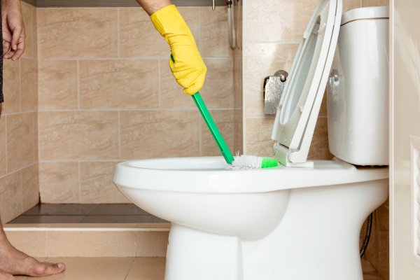 Person scrubbing a toilet bowl with a green toilet brush.